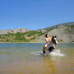 Croatie - Rando Cheval Dalmatie