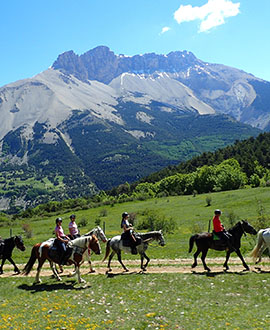 Rando à cheval en France