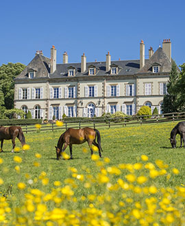 Séjour équestre - Voyage à cheval