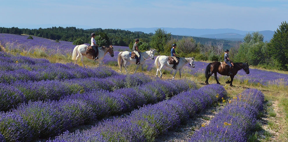 Rando Cheval France - Haute Provence