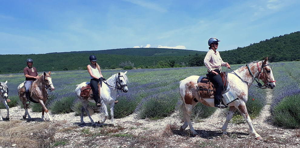 Rando Cheval France - Haute Provence