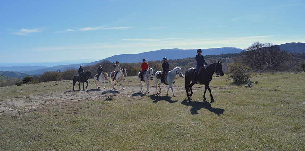 Rando Cheval France - Haute Provence