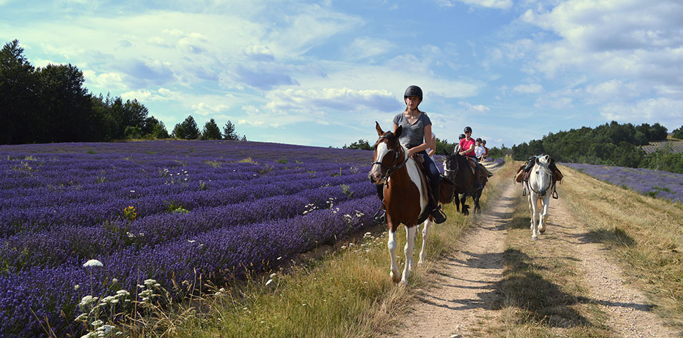 Rando Cheval France - Haute Provence