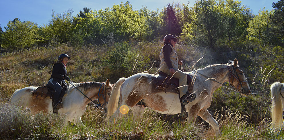 Rando Cheval France - Haute Provence