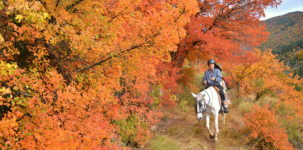 Rando Cheval France - Haute Provence