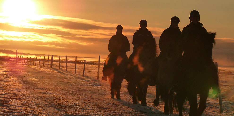 Rando Cheval Islande - Aurores Boréales en hiver