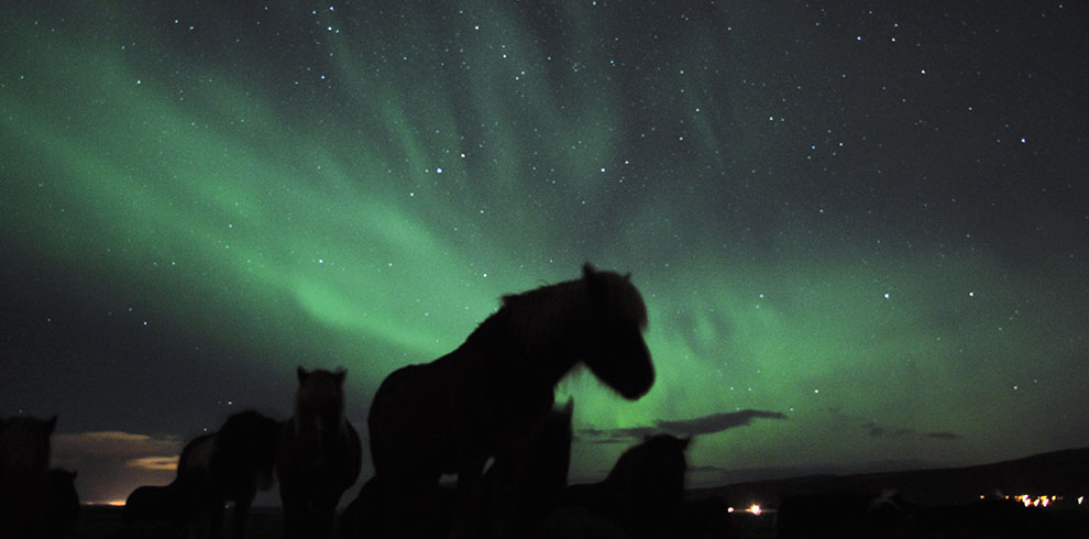 Rando Cheval Islande - Aurores Boréales en hiver