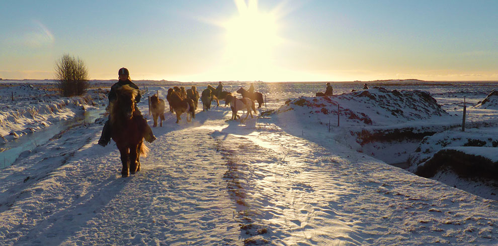 Rando Cheval Islande - Aurores Boréales en hiver