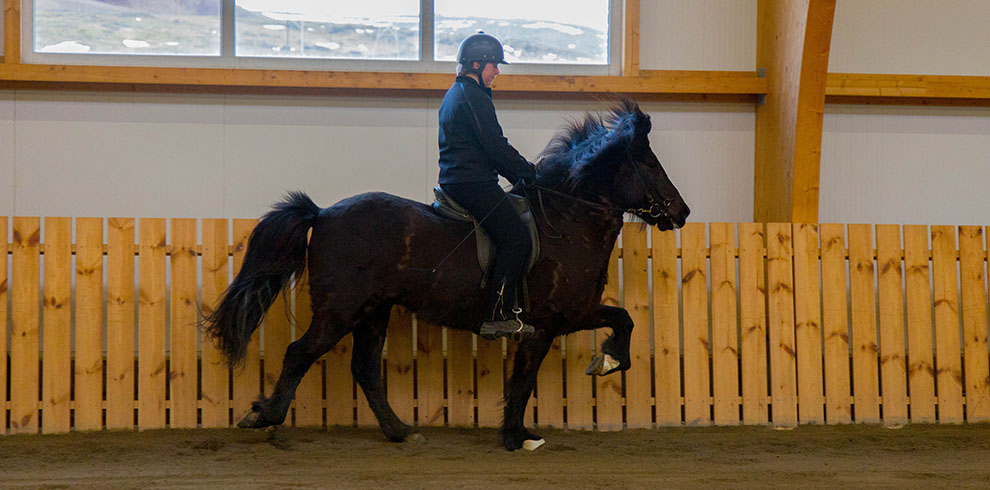 Rando Cheval Islande - Aurores Boréales en hiver