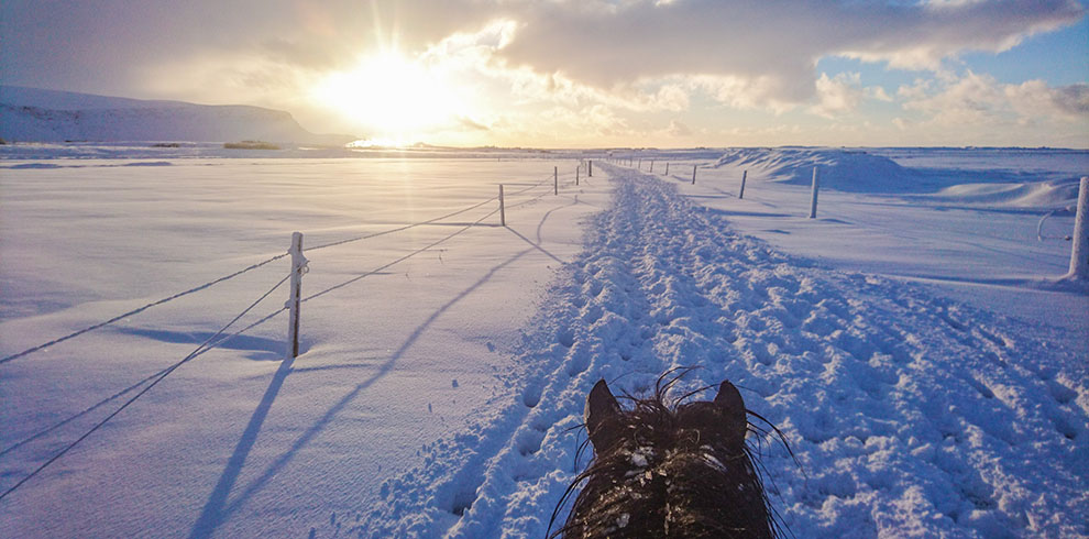 Rando Cheval Islande - Aurores Boréales en hiver