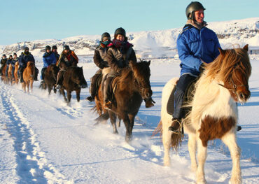 Rando Cheval Islande - Aurores Boréales en hiver