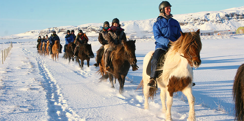 Rando Cheval Islande - Aurores Boréales en hiver