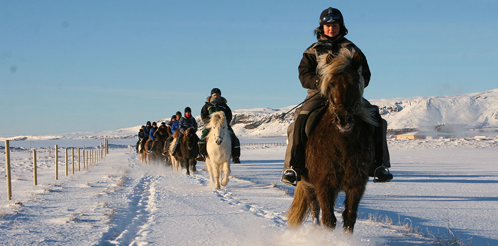 Rando Cheval Islande - Aurores Boréales en hiver