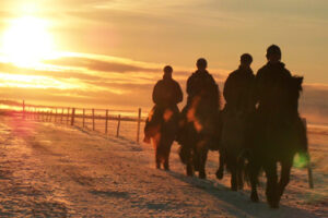 Rando Cheval Islande