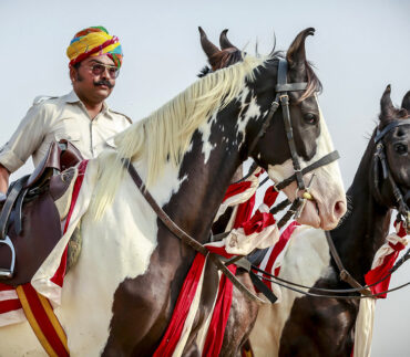 Rando Cheval Inde