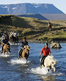 Rando Cheval Islande