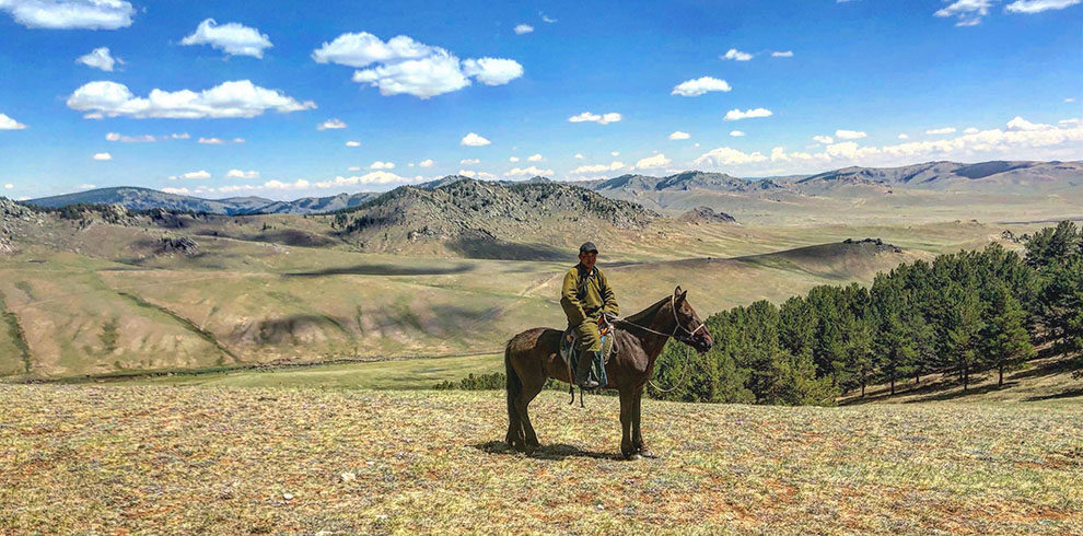 Rando Cheval Mongolie